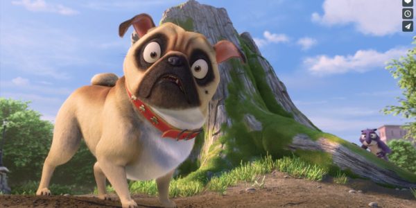 Реальная белка 2