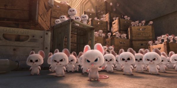 Реальная белка 2