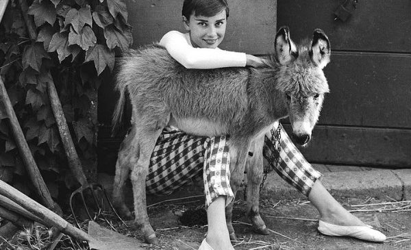 Одри Хепбёрн фото