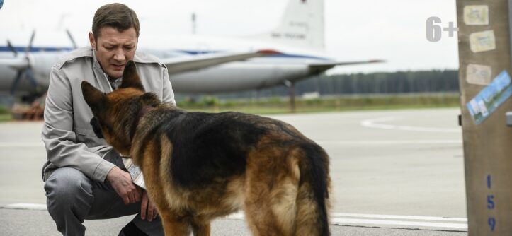 "Пальма" (2020) - Ян Цапник - 1170х658 - 6+ - "Централ Партнершип".