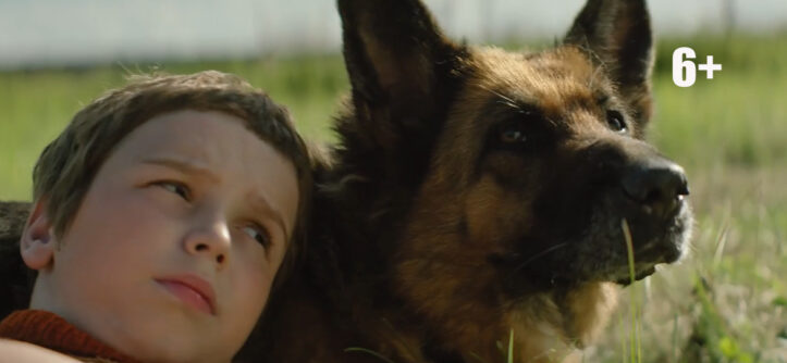 "Пальма" (2020) - «Централ Партнершип» (Российская Федерация) и ООО «БИФМедиаГрупп» (Республика Беларусь, УНП 193468544)